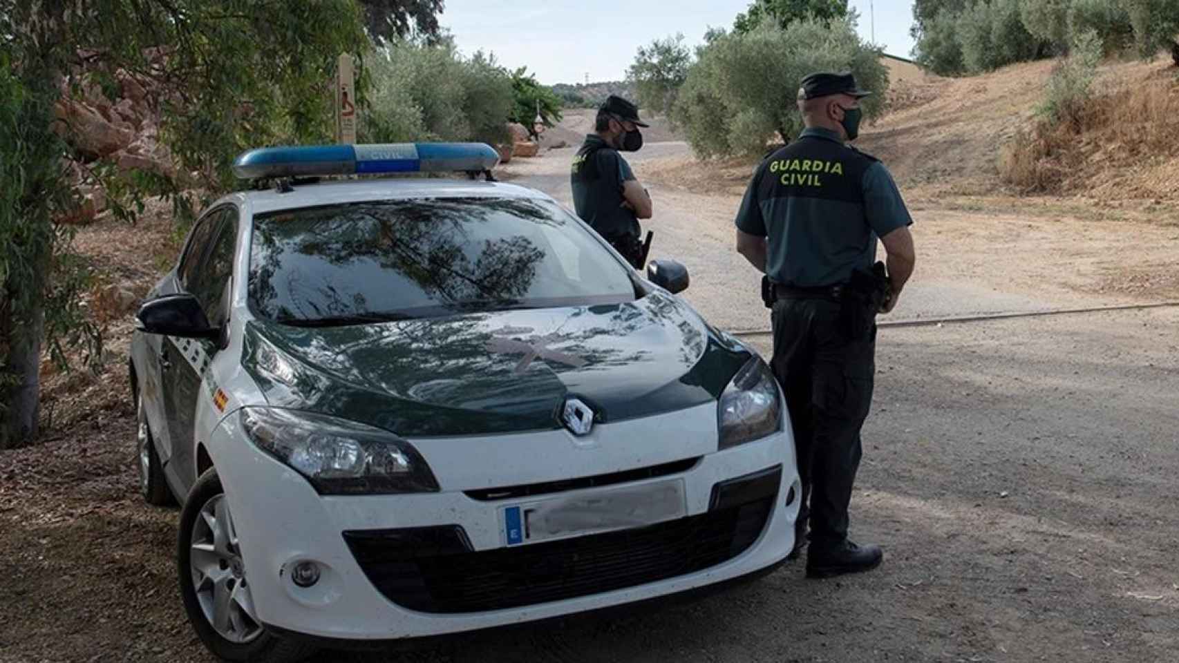 Los agentes de la Guardia Civil interceptaron a la mujer en una carretera de Segovia /EP