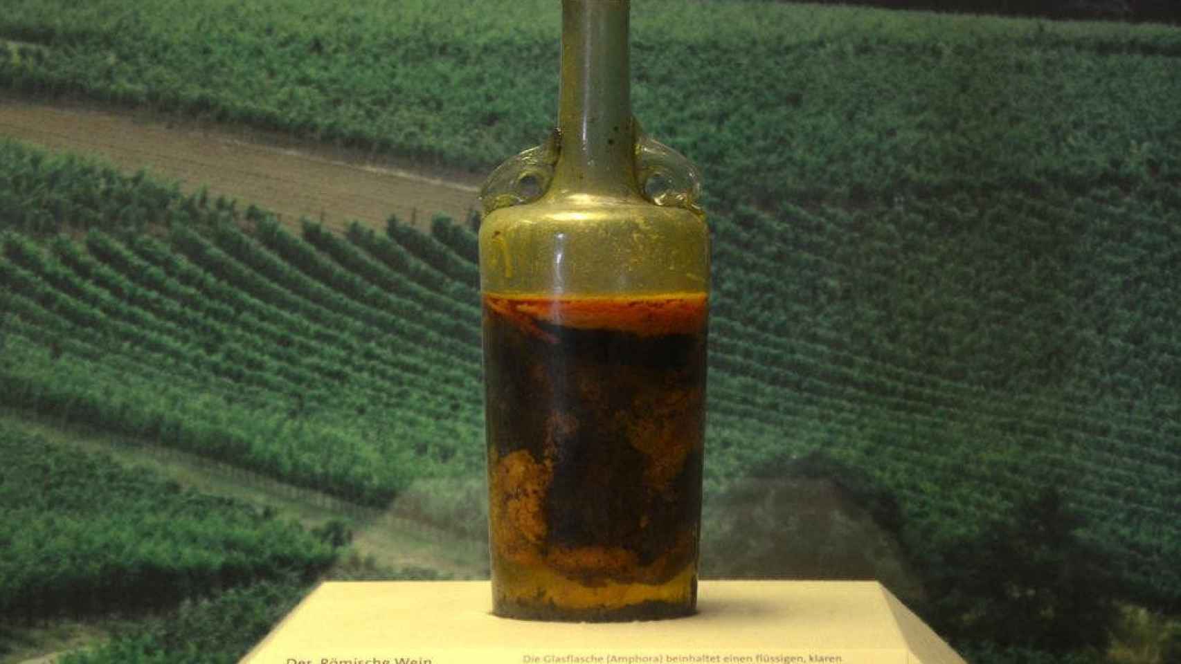 Imagen del vino más antiguo del mundo expuesto en un museo alemán / CREATIVE COMMONS