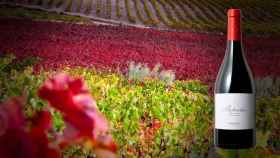 El vino 'Particular' Garnacha Viñas Centenarias 2014 con el Campo de Cariñena de fondo / CG