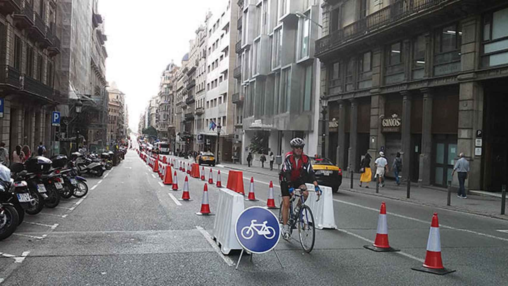 Un ciclista circula por el carril bici habilitado el Día Sin Coches / CG