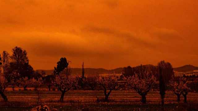 Contaminación por calima /EP