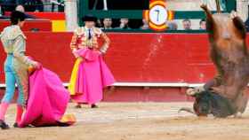 El torero francés Sebastián Castella (i) observa como su primer toro se voltea en el ruedo, durante la sexta de abono de la Feria de las Fallas / EFE