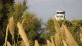 Una de las torres de control del aeropuerto Josep Tarradellas Barcelona-El Prat ocultada por la masa boscosa que rodea gran parte de la infraestructura / CARLOS MANZANO - CG
