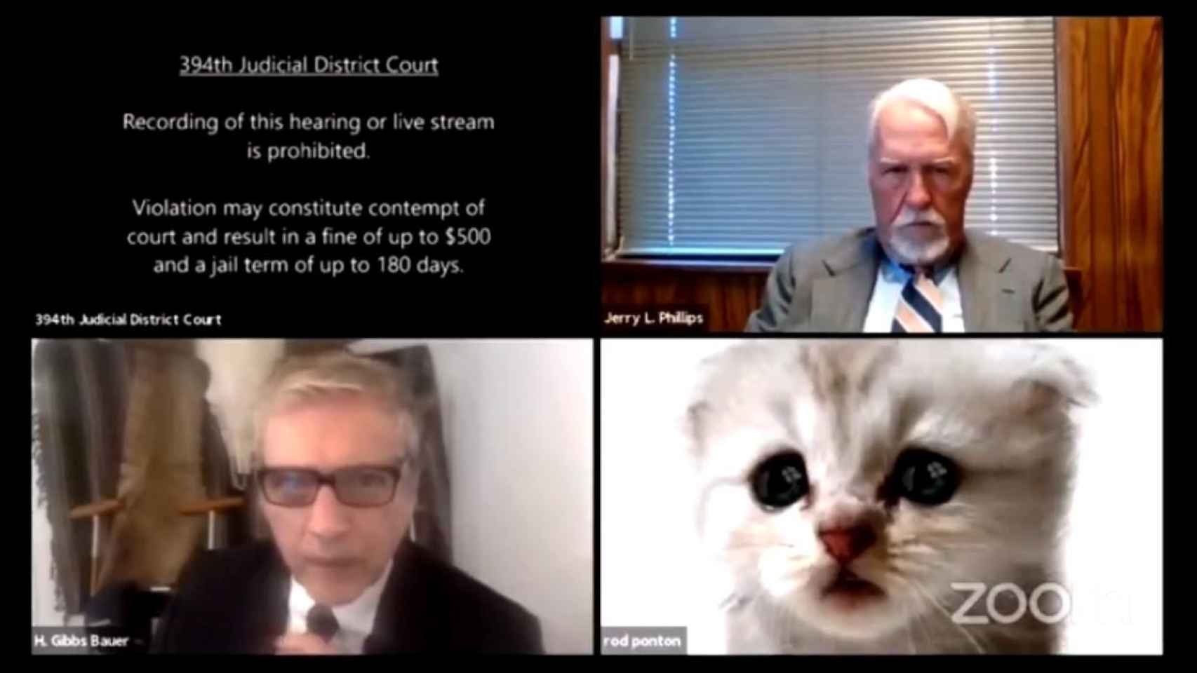 El juicio virtual en el que un abogado tiene activado el filtro de un gatito / TWITTER