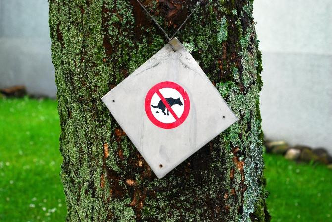 Señal que prohíbe que los perros hagan sus necesidades / Marcel Eberle en UNSPLASH