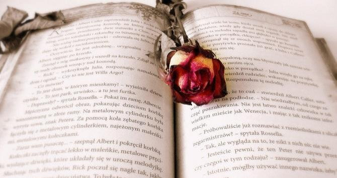 Un libro y una rosa / Daria Głodowska EN PIXABAY