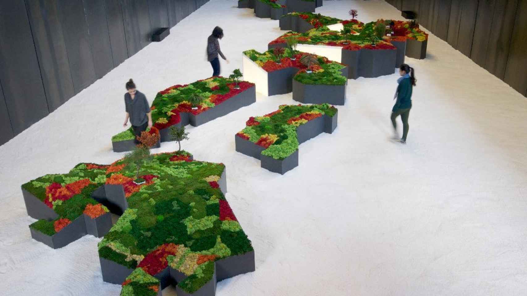 Un jardín de musgo en Japón en una imagen de archivo