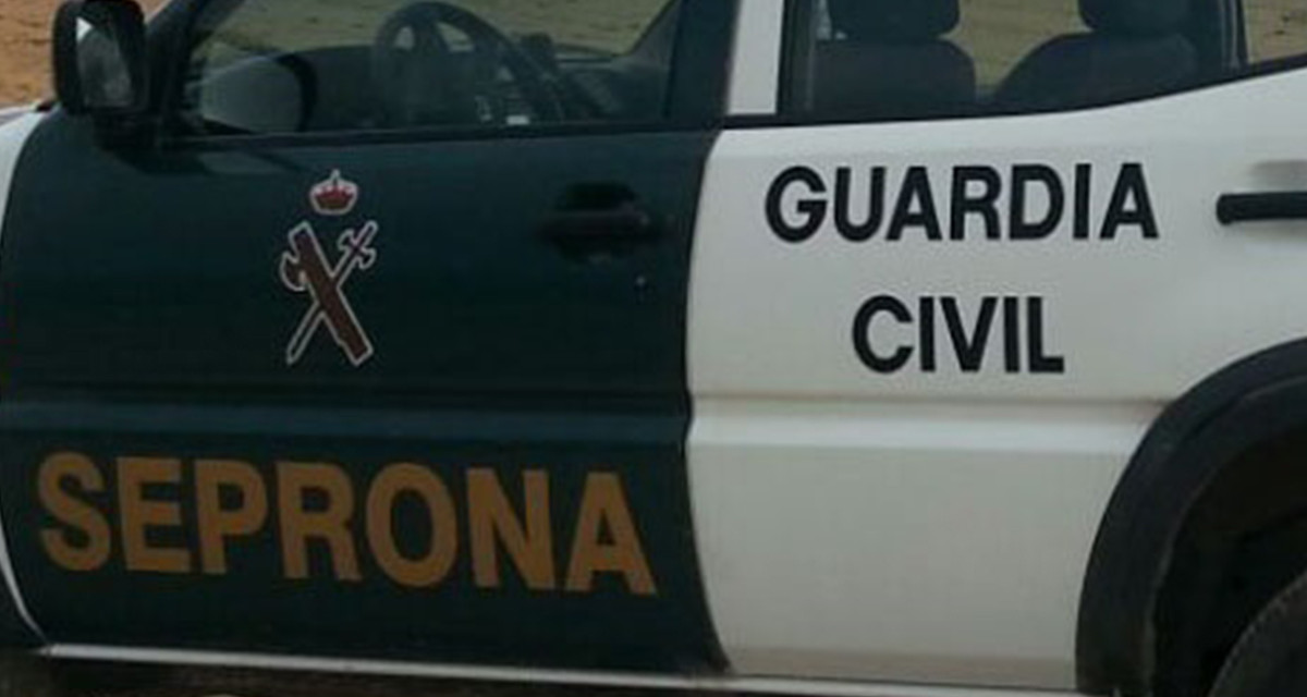 Un coche del Servicio de Protección de la Naturaleza (Seprona) de la Guardia Civil, en una imagen de archivo / GUARDIA CIVIL