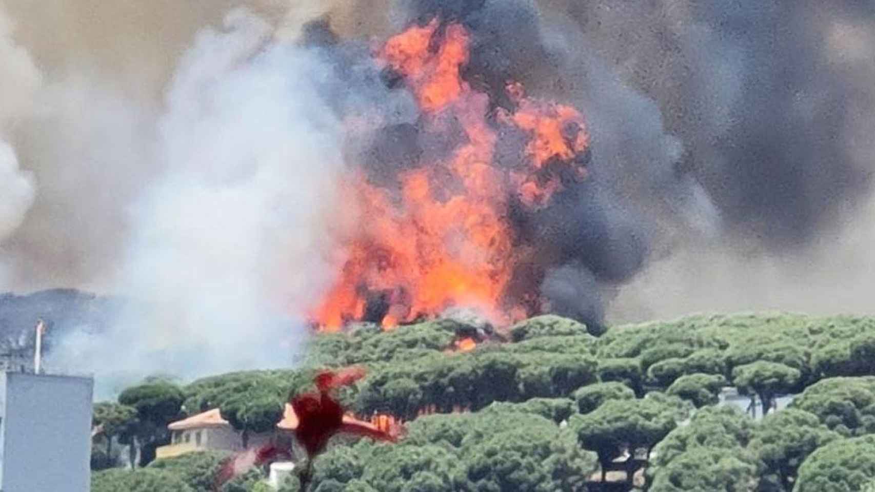 Imagen del incendio en la localidad de Argentona, la norte de Barcelona / Gencat