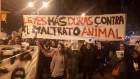 Manifestación de protesta por la muerte de la perra Sota / @GSDetingutsSota