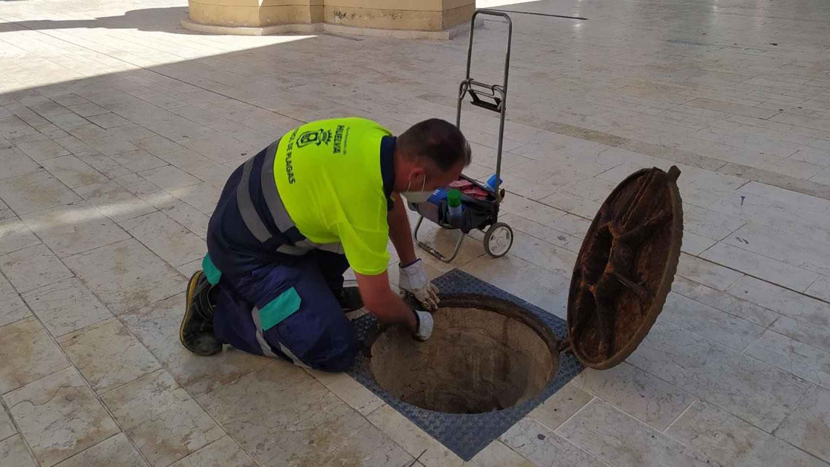 Un operario trabaja en la campaña de control de plagas en Huelva capital / EUROPA PRESS