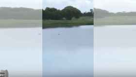 El lago en el que murió ahogado Jamel Dunn