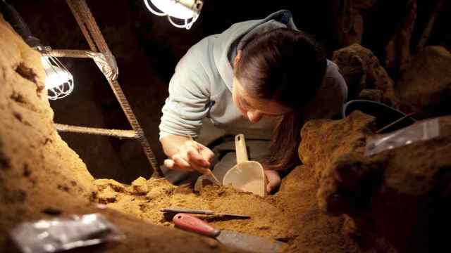 Científica extrayendo fósiles de hombres neandertales / EFE