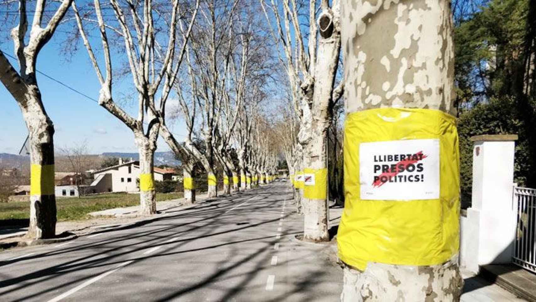 Lazos amarillos en Sant Julià de Vilatorta, donde se produjo la agresión a un hombre que los retiraba / CG