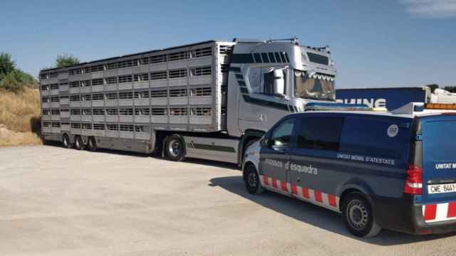 El vehículo que conducía el camionero detenido por los Mossos por falsificar su tarjeta para cubrir una ruta internacional / MOSSOS
