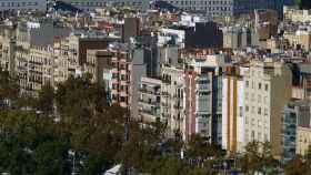 Vista de la Barceloneta, uno de los barrios de Barcelona con más presencia de pisos turísticos / CG