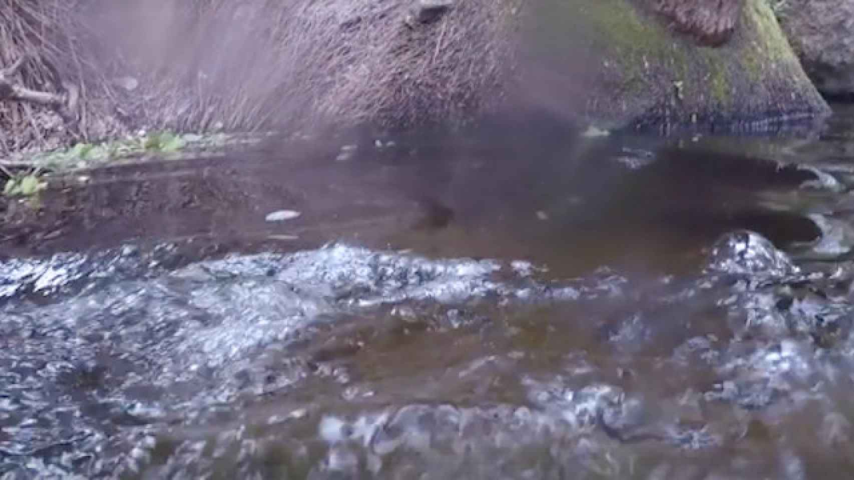 El joven saltó al río sin percatarse de la presencia del cocodrilo / Facebook