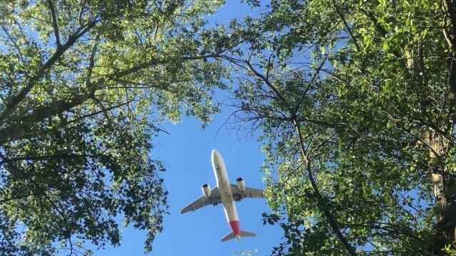 Un avión de Iberia sobrevuela una zona arbolada / IBERIA