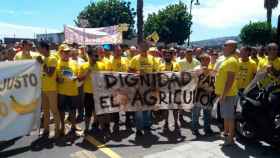 Agricultores de plátanos de Canarias exigen dignidad / CG
