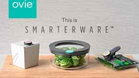 Smarterware tupper / OVIE