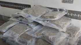 La marihuana camuflada en sacos de cortezas de árbol incautada en el Prat de Llobregat / MOSSOS