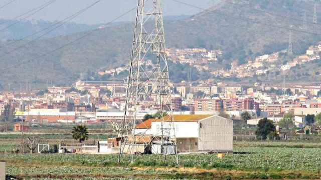 Un área agrícola en la zona del Baix Llobregat donde se desarrolla el Ribera-Salines / CG