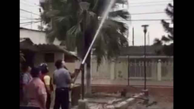 Una foto de los bomberos usando la manguera de agua para 'rescatar' a un gato / Twitter