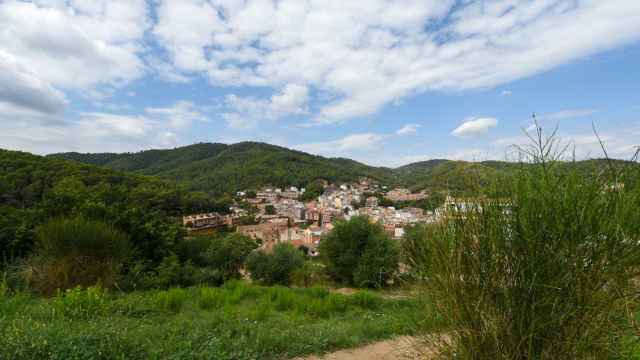 Zona boscosa en Sant Climent de Llobregat, donde tendrán lugar nuevas actuaciones forestales / ALBERT CANALEJO AMB