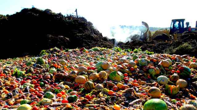 Toneladas de frutas y verduras de un vertedero / EFE