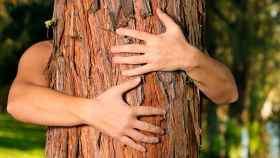 Abrazar un árbol es una práctica de los ecosexuales / CG