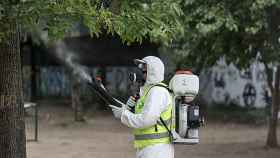 Fumigación contra el mosquito Aedes Aegypti, transmisor del dengue y del zika, en un parque de Buenos Aires (Argentina)