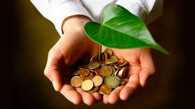 Un hombre sujeta con sus manos una planta que nace de monedas de euro / CG