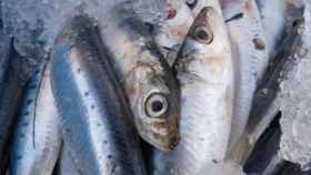Un grupo de sardinas frescas / PIXABAY
