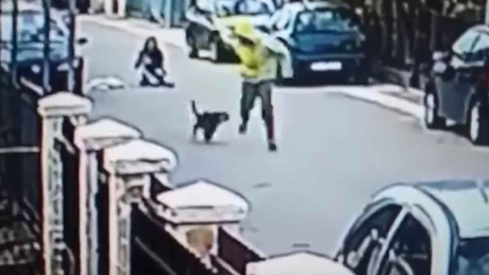 Un perro ahuyenta a un ladrón que intentaba robar a una mujer / CG