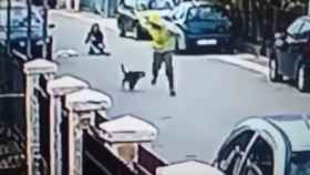 Un perro ahuyenta a un ladrón que intentaba robar a una mujer / CG