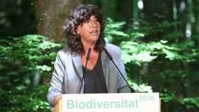 Teresa Jordà, consejera de Medio Ambiente / EP