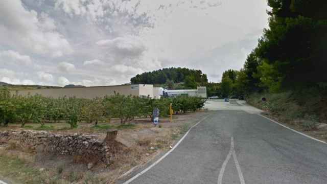 La empresa frutera Cerima Cherries de Tivissa (Tarragona), donde se ha detectado el brote / GOOGLE