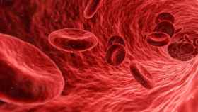Imagen virtual de glóbulos rojos en la sangre, los principales afectados por la falta de hierro / PIXABAY