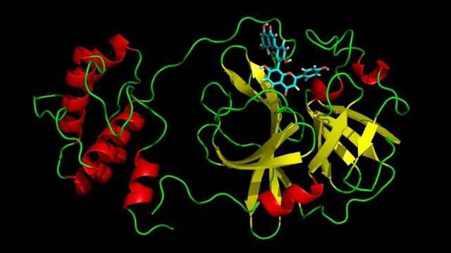 Proteínas del SARS-CoV-2, que tiene un papel esencial en la replicación y transmisión del virus que causa el Covid / UB