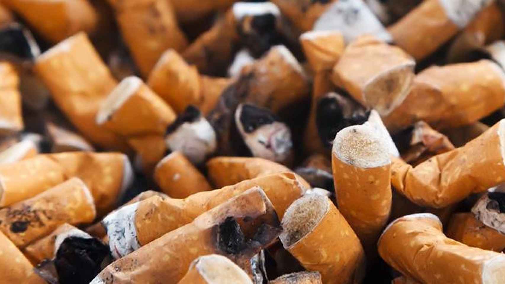 Colillas apagadas en el Día Mundial Sin Tabaco