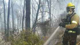 Un bombero trabajando en la zona del incendio de Tarragona, que ha quemado 465,7 hectáreas.