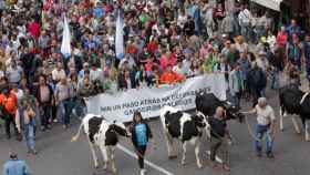 Protesta de los ganaderos lácteos gallegos por las calles de Santiago de Compostela