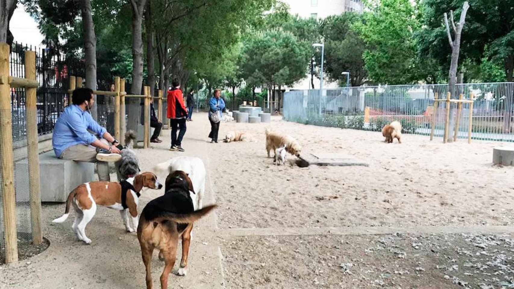 Imagen de vecinos de Barcelona paseando a sus perros en un parque especial / CG