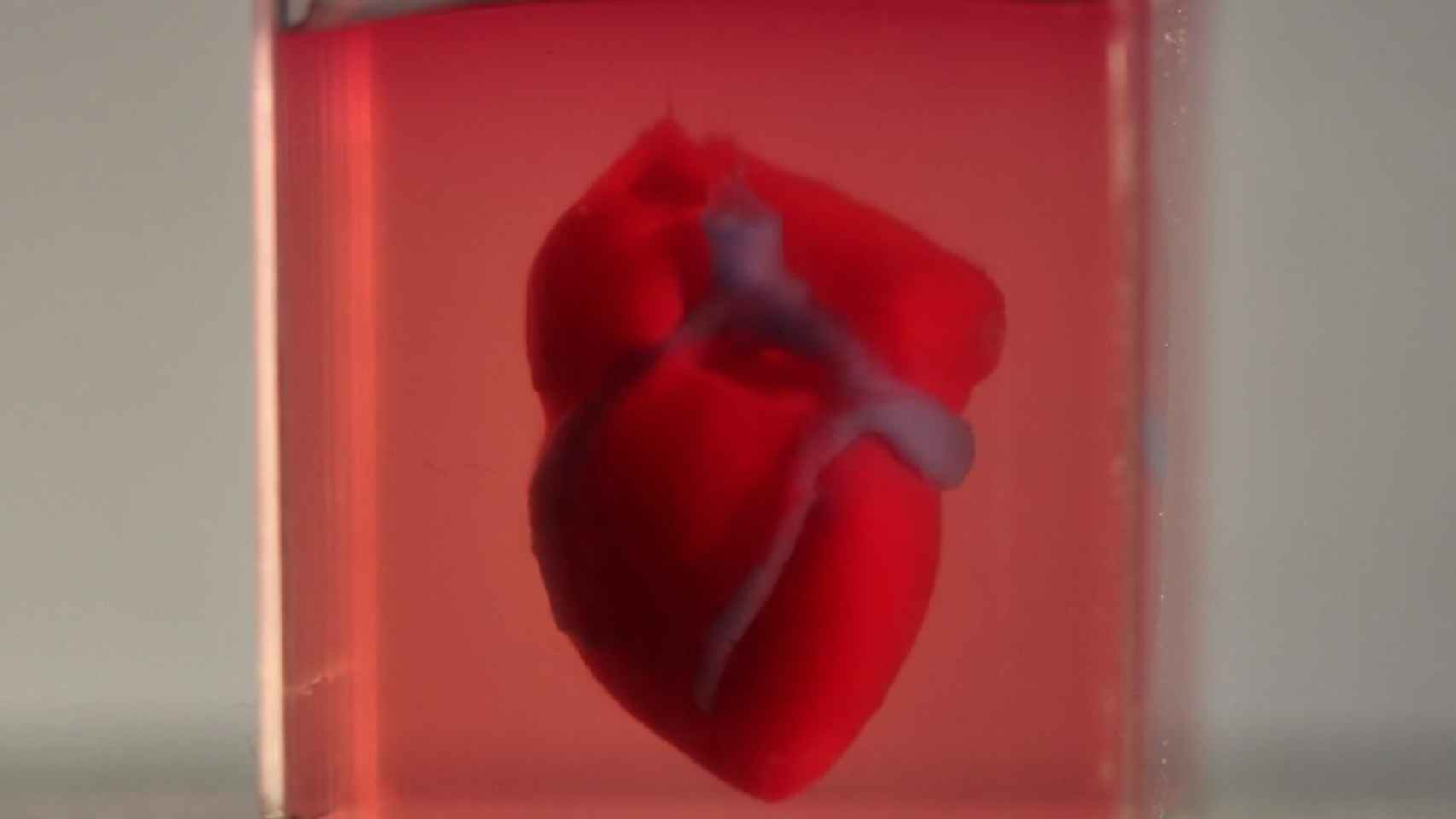 Primer corazón imprimido en 3D con tejido humano / ADVANCED SCIENCE