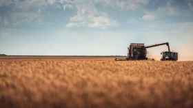 El sector de la agricultura prepara su disrupción tecnológica. / EP