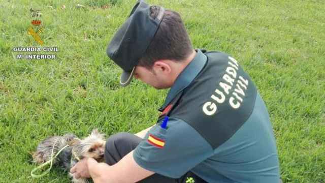 Un agente de la Guardia Civil acaricia a una cría de perro / CD