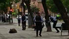 Momento de la detención en Lleida tras el intento de atracar un banco