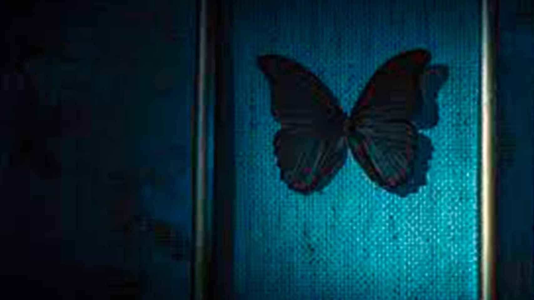 Imagen de la miniserie 'Las mariposas negras' / NETFLIX