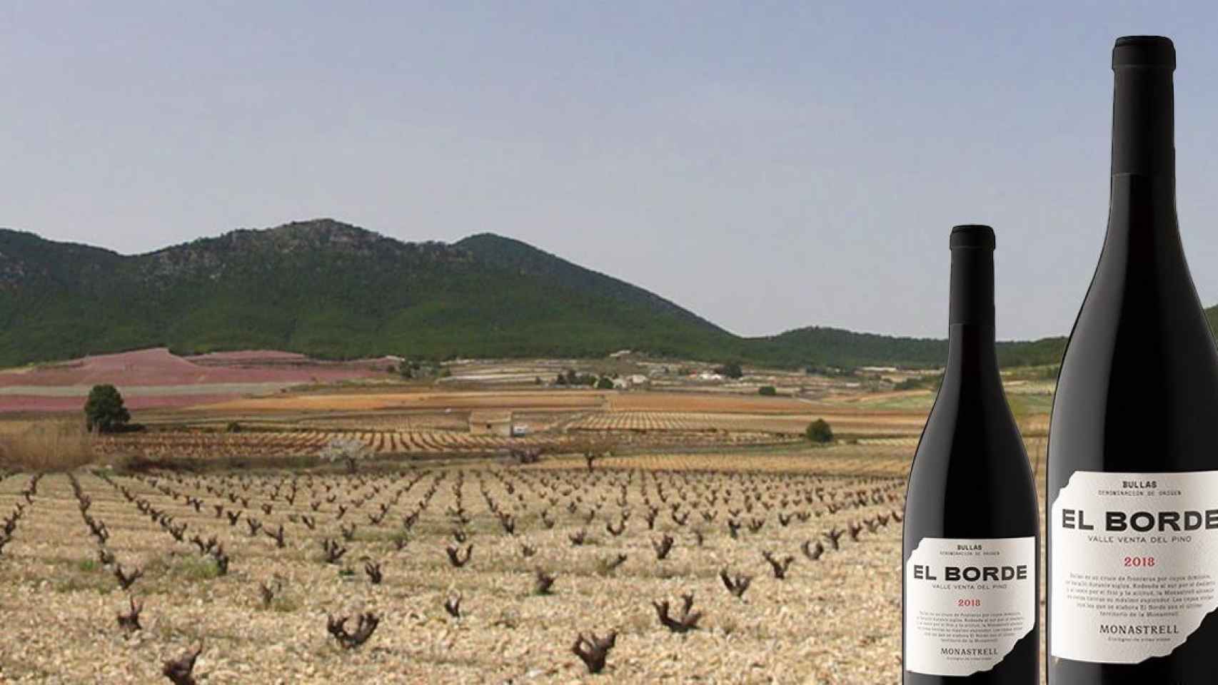 Viñedos junto a dos botellas del vino 'El Borde' / BODEGAS DEL ROSARIO DE BULLAS