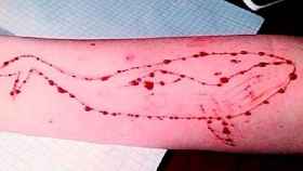 Tatuaje realizado en un brazo por una participante en el juego de la ballena azul / CG